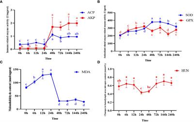 Integrated application of multi-omics and biochemical analysis revealed the physiological response mechanism of ammonia nitrogen tolerance in the razor clam (Sinonovacula constricta)